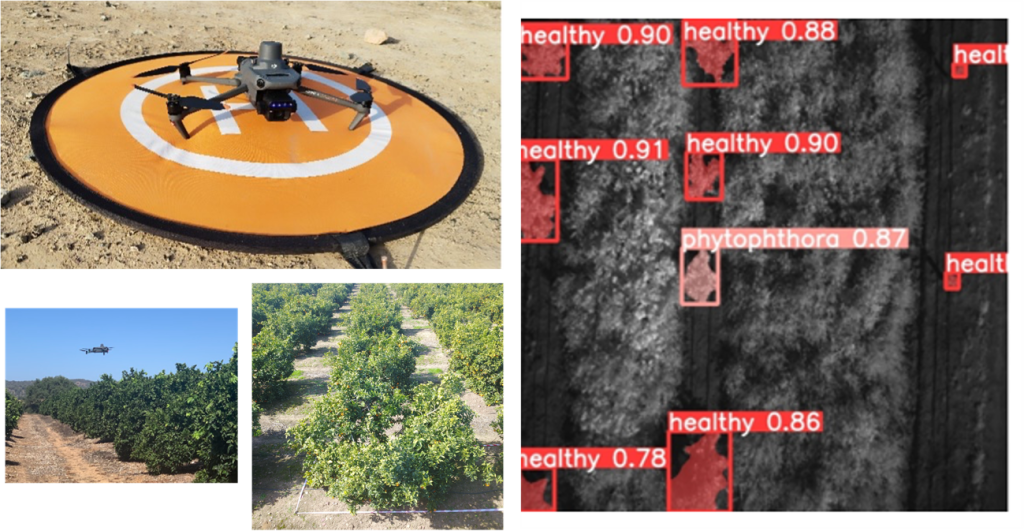 Detección temprana de patógenos en cítricos mediante visión artificial: Grupo operativo andaluz Dronfruit II